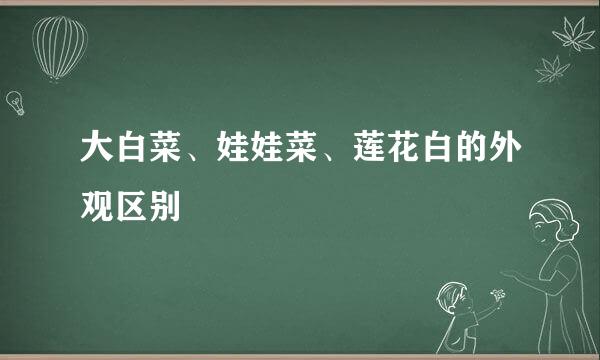 大白菜、娃娃菜、莲花白的外观区别