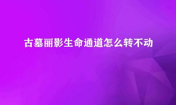 古墓丽影生命通道怎么转不动
