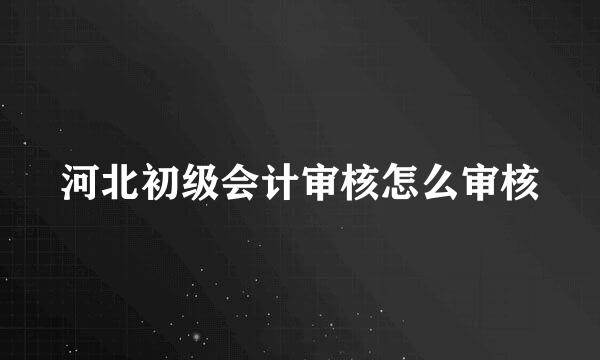 河北初级会计审核怎么审核
