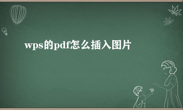 wps的pdf怎么插入图片
