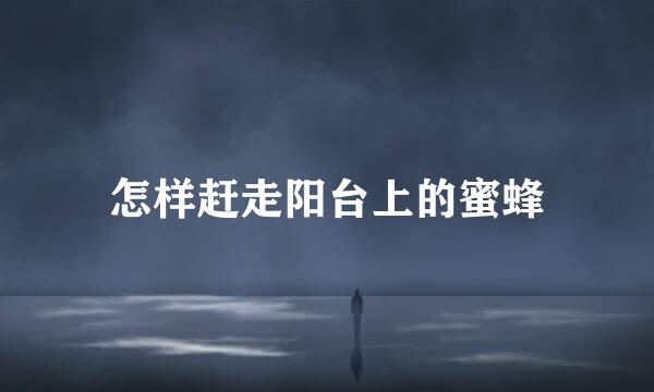 怎样赶走阳台上的蜜蜂