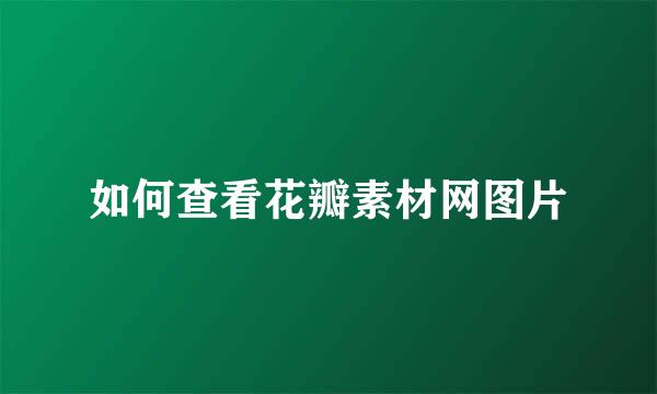 如何查看花瓣素材网图片