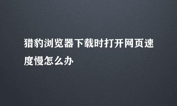猎豹浏览器下载时打开网页速度慢怎么办