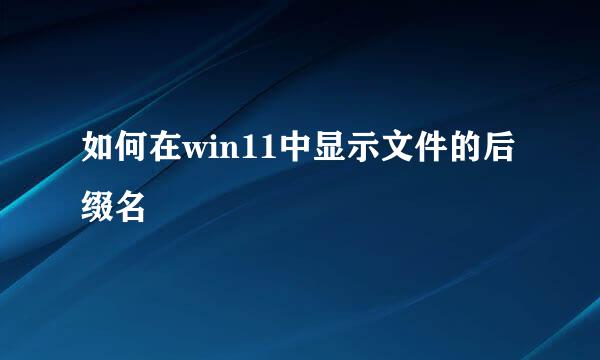 如何在win11中显示文件的后缀名