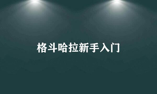 格斗哈拉新手入门
