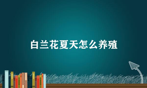 白兰花夏天怎么养殖