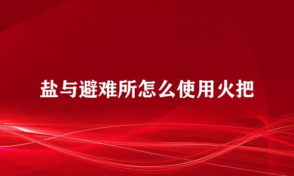 盐与避难所怎么使用火把