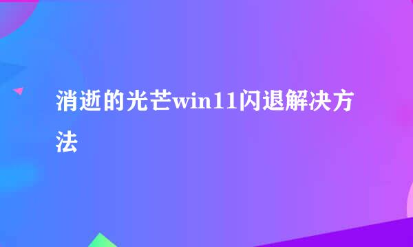 消逝的光芒win11闪退解决方法