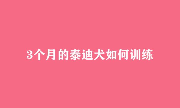 3个月的泰迪犬如何训练