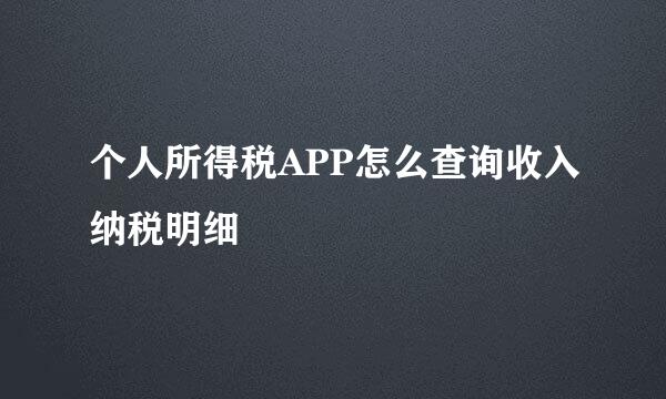 个人所得税APP怎么查询收入纳税明细