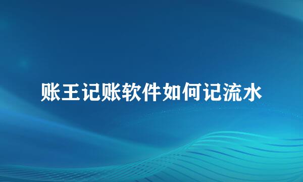 账王记账软件如何记流水