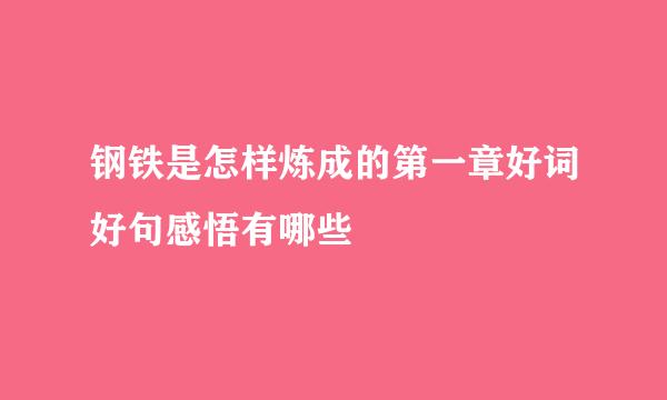 钢铁是怎样炼成的第一章好词好句感悟有哪些