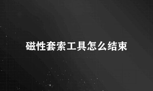 磁性套索工具怎么结束