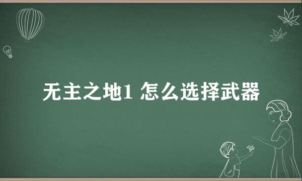 无主之地1 怎么选择武器