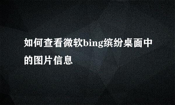 如何查看微软bing缤纷桌面中的图片信息