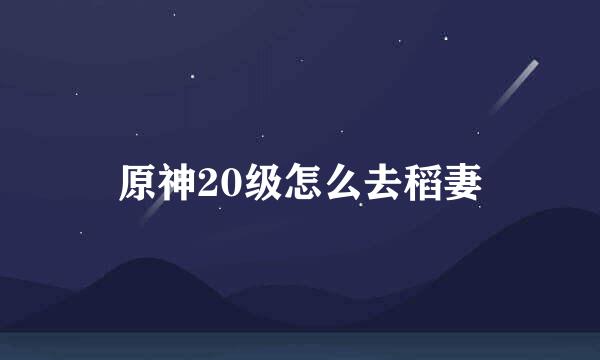 原神20级怎么去稻妻