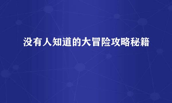 没有人知道的大冒险攻略秘籍