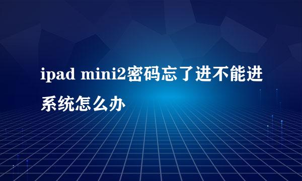ipad mini2密码忘了进不能进系统怎么办