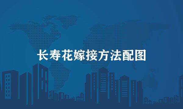 长寿花嫁接方法配图