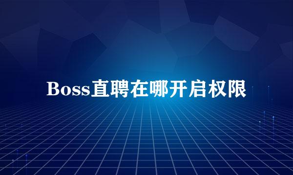 Boss直聘在哪开启权限