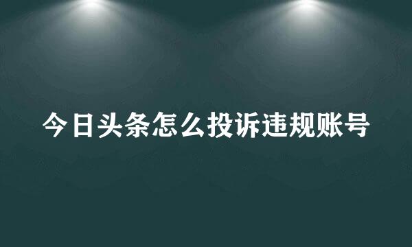 今日头条怎么投诉违规账号