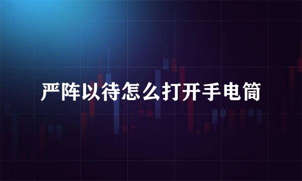 严阵以待怎么打开手电筒