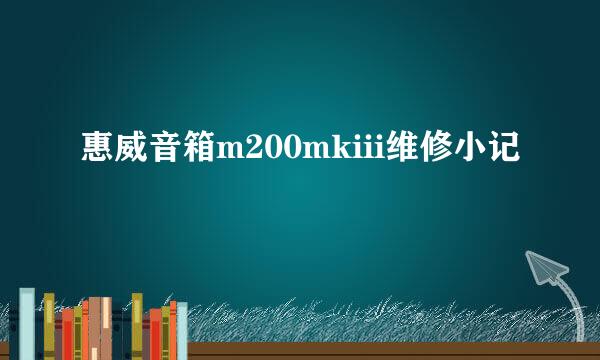 惠威音箱m200mkiii维修小记