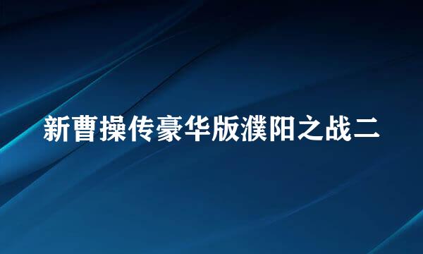 新曹操传豪华版濮阳之战二