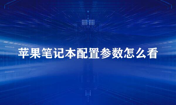 苹果笔记本配置参数怎么看
