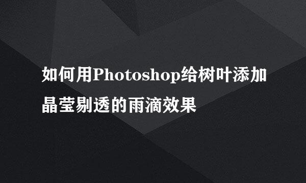 如何用Photoshop给树叶添加晶莹剔透的雨滴效果