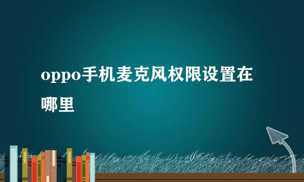 oppo手机麦克风权限设置在哪里