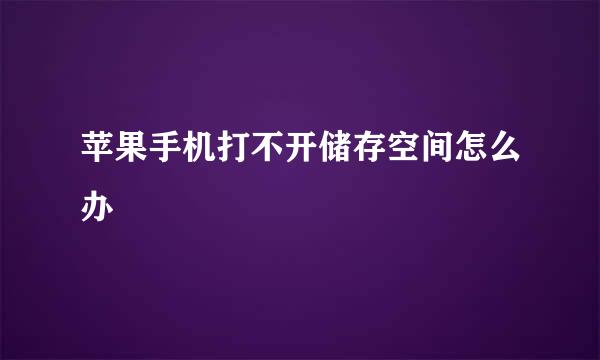 苹果手机打不开储存空间怎么办