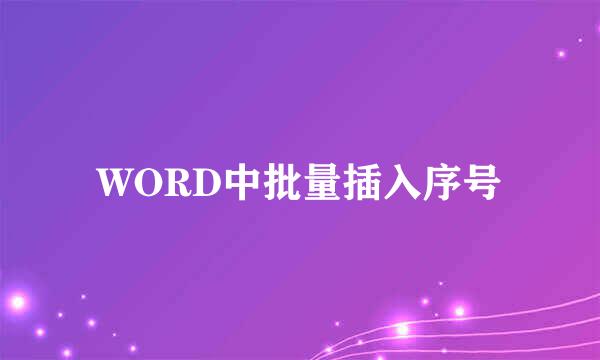 WORD中批量插入序号