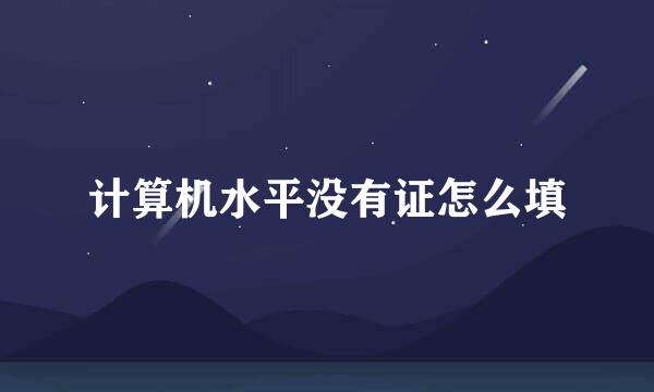 计算机水平没有证怎么填