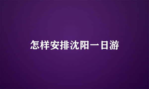 怎样安排沈阳一日游