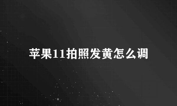 苹果11拍照发黄怎么调