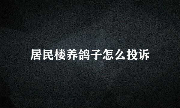 居民楼养鸽子怎么投诉