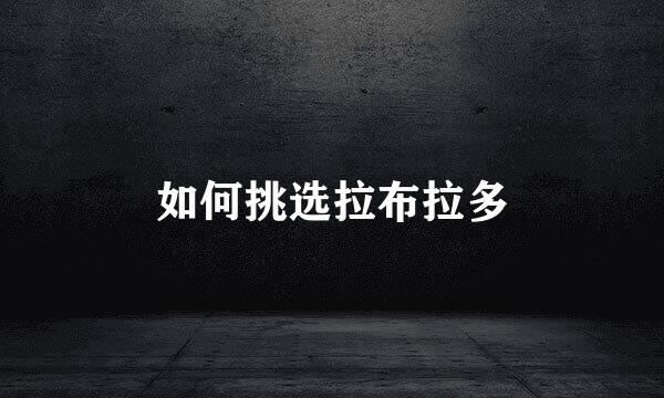 如何挑选拉布拉多