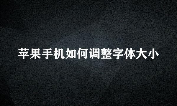 苹果手机如何调整字体大小