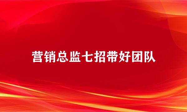 营销总监七招带好团队