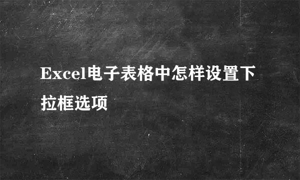 Excel电子表格中怎样设置下拉框选项