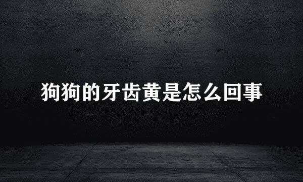 狗狗的牙齿黄是怎么回事