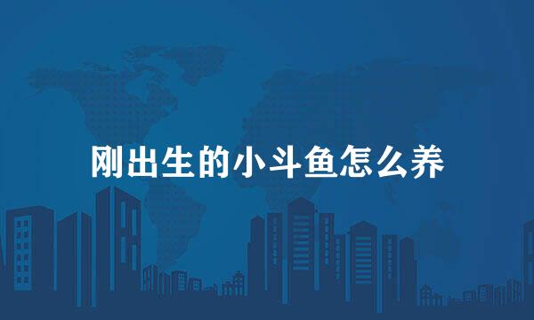 刚出生的小斗鱼怎么养