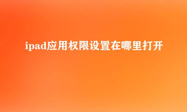 ipad应用权限设置在哪里打开