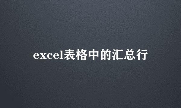 excel表格中的汇总行