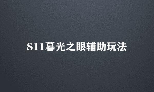 S11暮光之眼辅助玩法