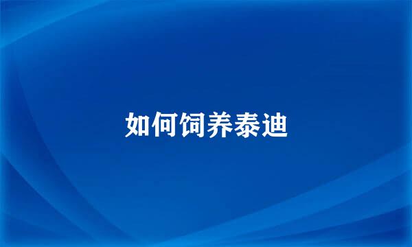 如何饲养泰迪
