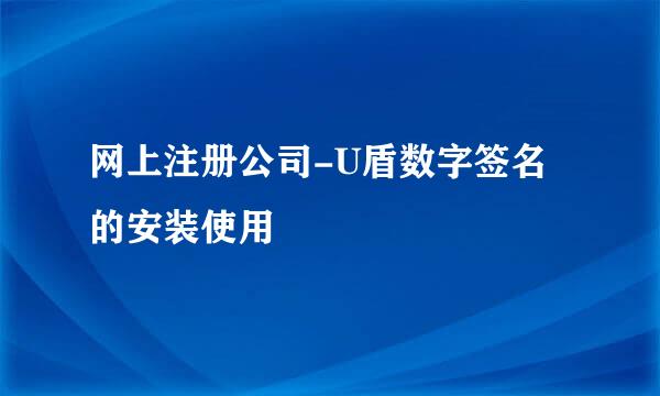 网上注册公司-U盾数字签名的安装使用