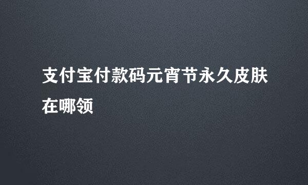 支付宝付款码元宵节永久皮肤在哪领