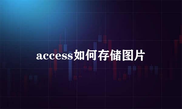 access如何存储图片